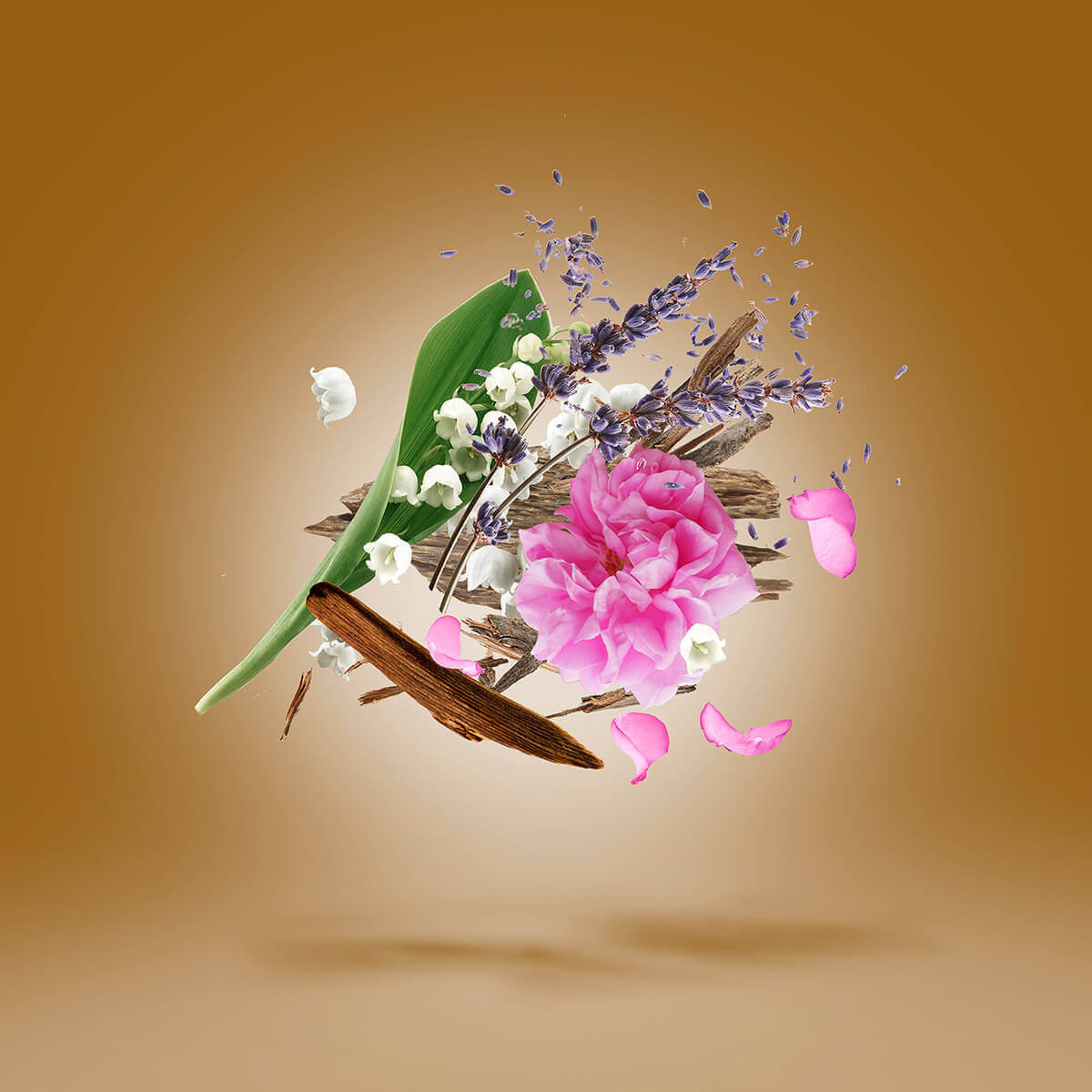 Xerjoff Alexandria 2 sfeerimpressie ingrediënten