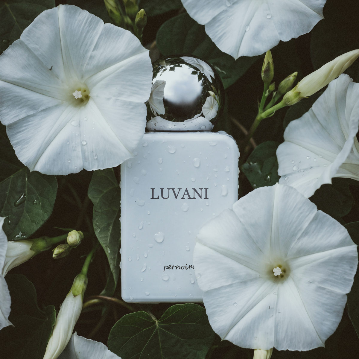 Luvani